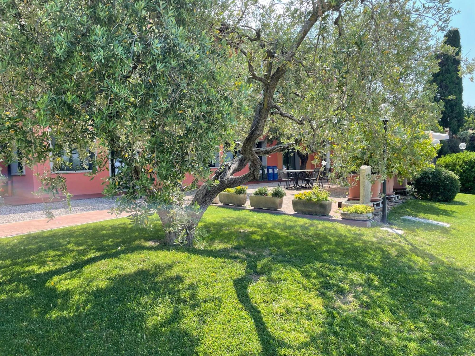 Al Colle Villa Cavaion Veronese Eksteriør billede